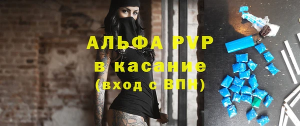 гашик Нефтекумск