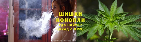 гашик Нефтекумск