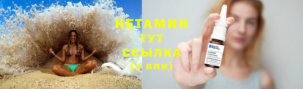гашик Нефтекумск
