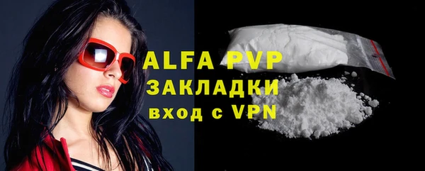 гашик Нефтекумск